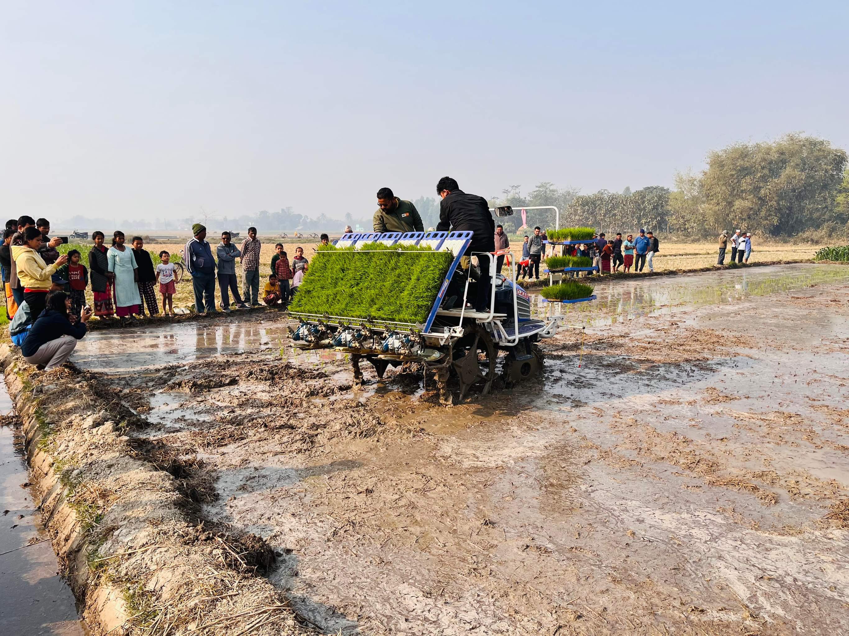 Rice Transplanter in KIS