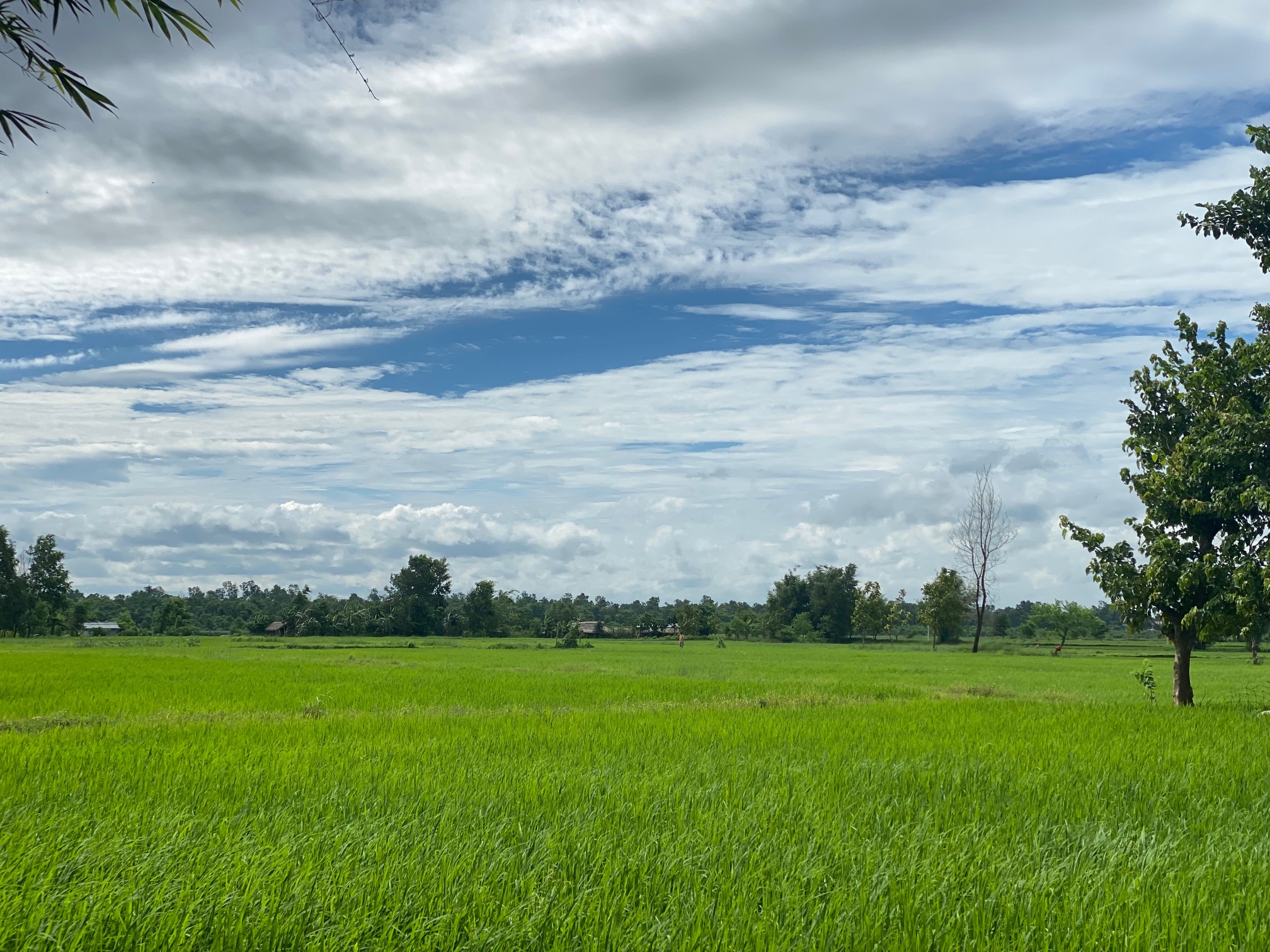 Kankai Irrigation
